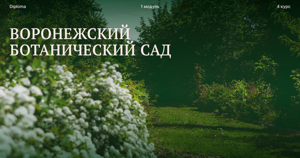 Питч-дек презентация Питч-дек презентация