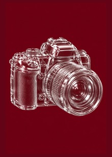 Фоторепортаж с&nbsp;посвящения в&nbsp;детском лагере «Пионер»