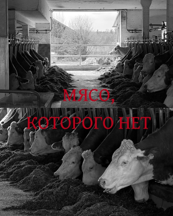 Мясо, которого нет: как Les Abattoirs переписывает память о бойне 