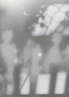 ✷ halation ✷ halation