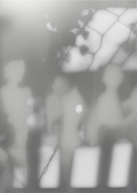 ✷ halation