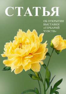 Статья об&nbsp;открытии выставки «Гербарий чувств»