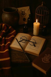 Визуальные коды магического мира: сравнительный анализ обложек серии книг «Гарри Поттер»