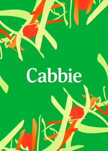 Cabbie Cabbie