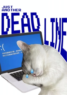 meow inc. meow inc.