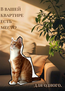 Место для одного