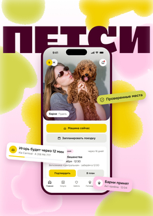ПЕТСИ | Питчдек