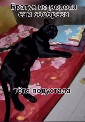 Житие Владлена