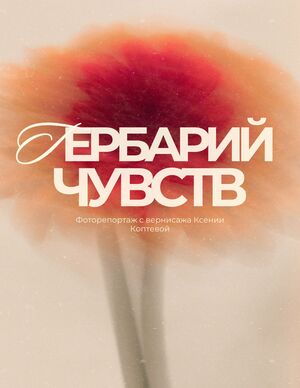Фоторепортаж с выставки «Гербарий чувств» Фоторепортаж с выставки «Гербарий чувств»