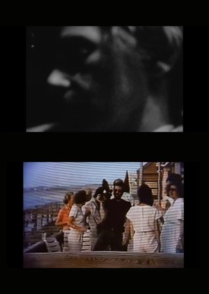 Дневниковое кино: особенности осмысления жанра