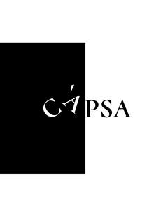 Capsa. Эссе-синопсис Capsa. Эссе-синопсис
