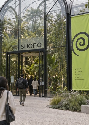 suono 