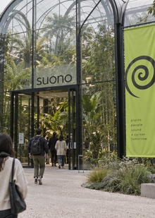 suono suono