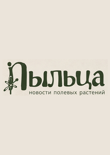 Пыльца ai&nbsp;ребрендинг