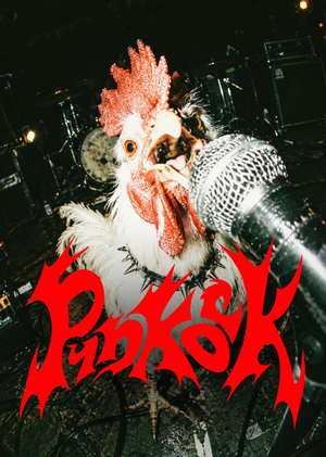 PUNKOCK — панк-рок школа для петухов