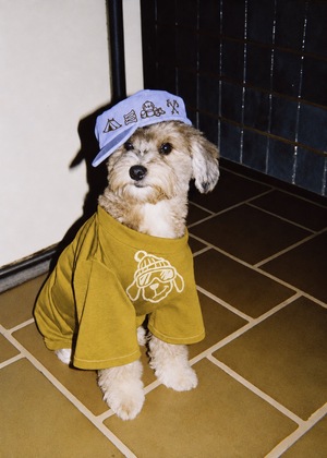 Re: BARK