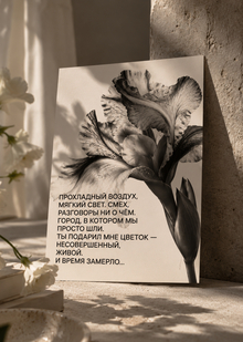«Как будто вчера» «Как будто вчера»