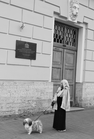 Фотографии
