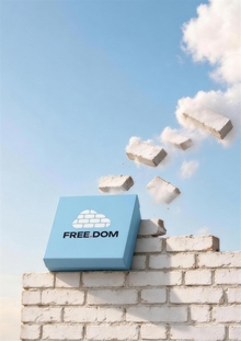 FREE.DOM: набор и&nbsp;пространство для комфортного взросления