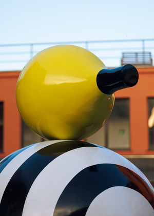 Наблюдение за птицами