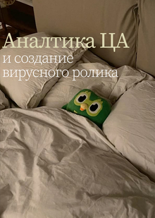 Аналитика ЦА&nbsp;и&nbsp;создание вирусного ролика