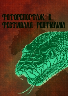 Фоторепортаж «Фестиваль рептилий»