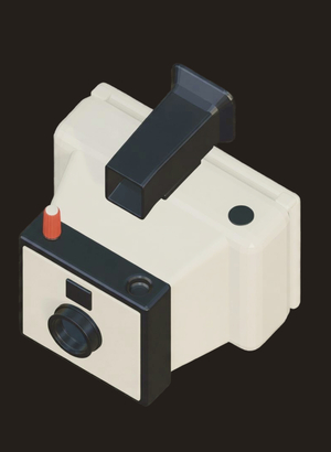 Polaroid Swinger Model 20