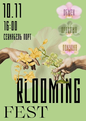 Афиша фестиваля «BLOOMING FEST»