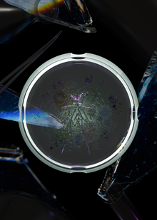 Petri ashtray