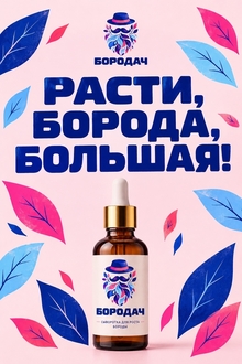 бородач