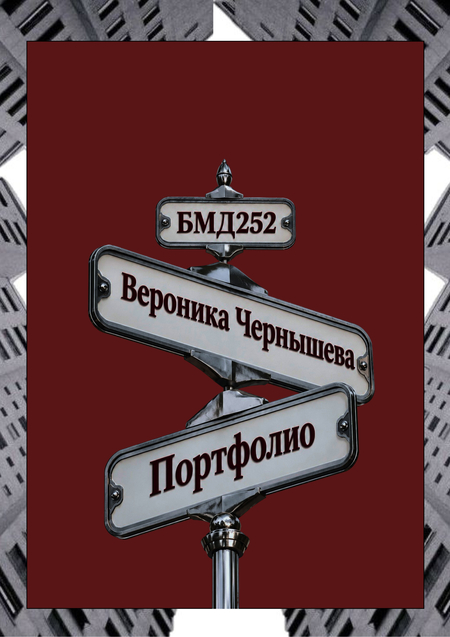 Портфолио Чернышева Вероника бмд252