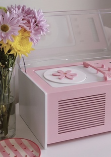 Braun SK4