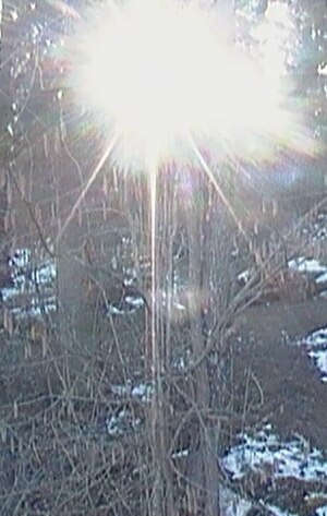 Серия платков для "Creeping light"