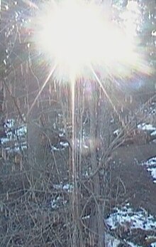 Серия платков для «Creeping light»