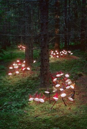 Взаимосвязь интерактивных технологий медиа-арта с природой и экологией