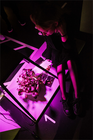 Растения как часть экспозиции на выставке современного искусства