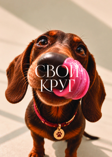 Закрытый клуб такс «Свой круг»