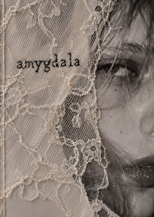 amygdala&nbsp;— бренд журналов о&nbsp;независимом искусстве