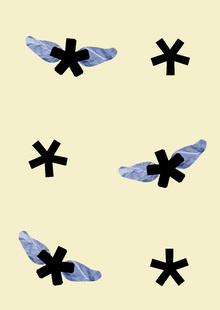 Flies