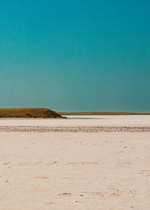 Синдром отчуждения