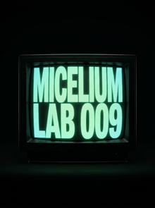 MICELIUM LAB 009 MICELIUM LAB 009