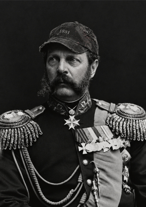 СВИДЕТЕЛЬ / 1881