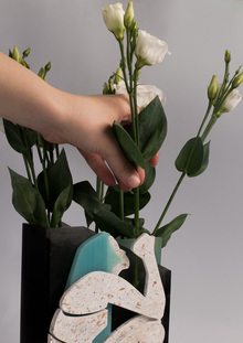 FLOS