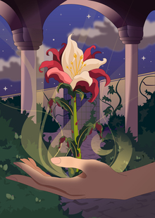WitchRoot
