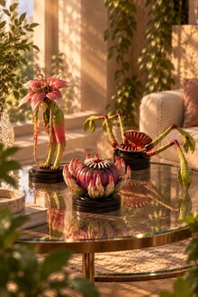 Bloom: серия коллекционных игрушек