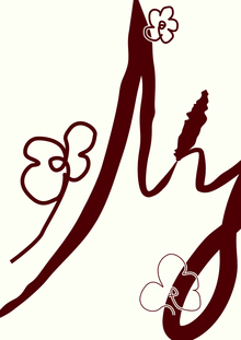 Nymphea