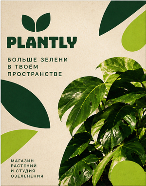 PLANTLY