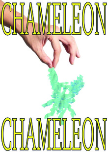 CHAMELEON