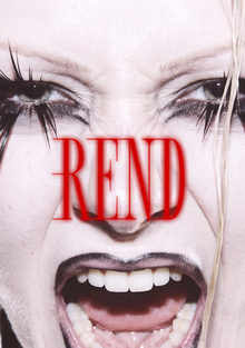 Акцидентный шрифт REND