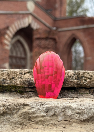 Повод приехать